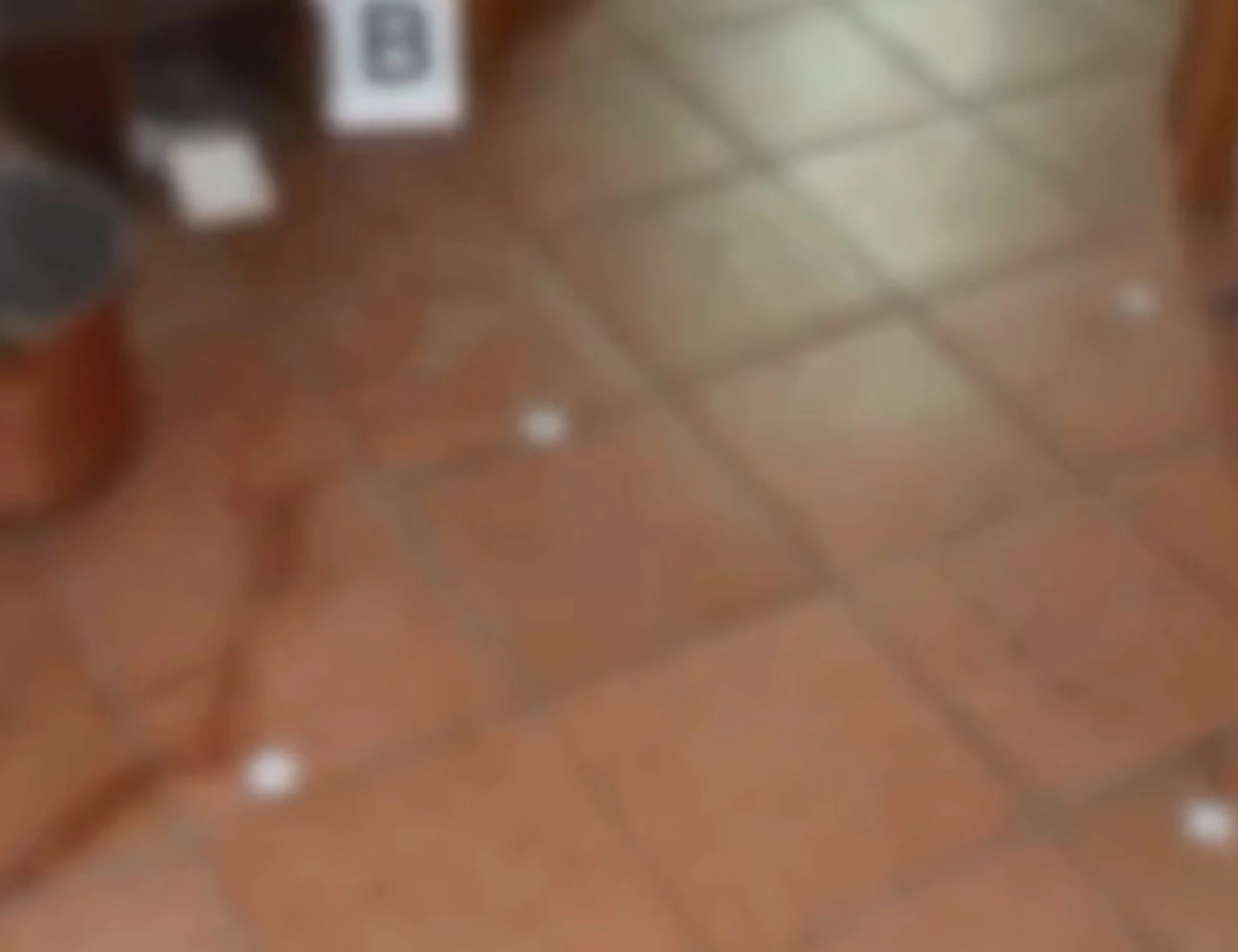 Garlasco, retroscena clamoroso: perché è uscita al Tg1 la notizia della scarpa