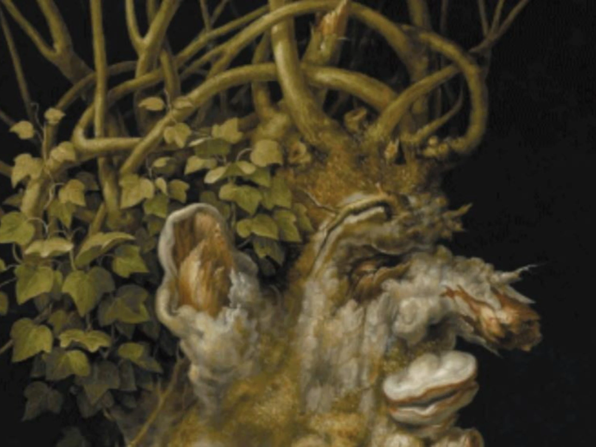 La storia e la bellezza dell’arte non sono più lusso per pochi