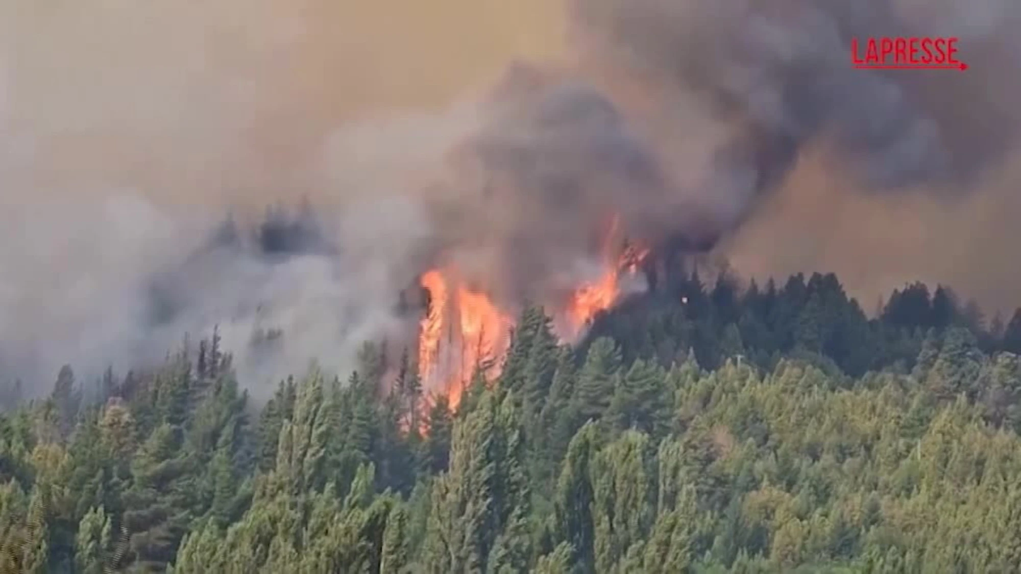 Patagonia argentina devastata dalle fiamme