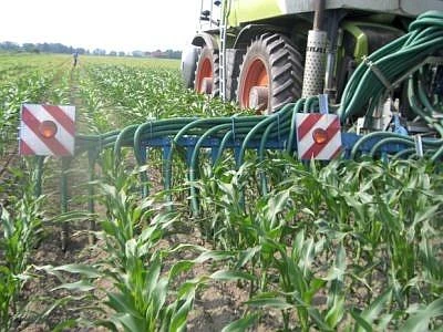 Rinnovabili, Cib: "Governo punti sul biogas per la crescita"