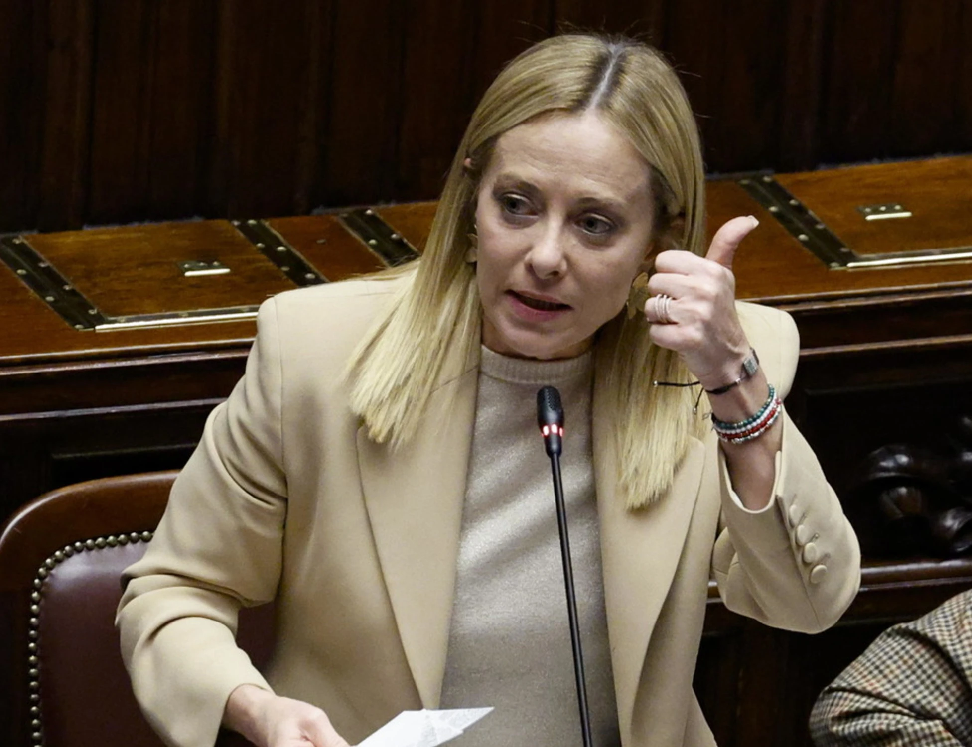 Meloni silura la legge sul green deal europeo