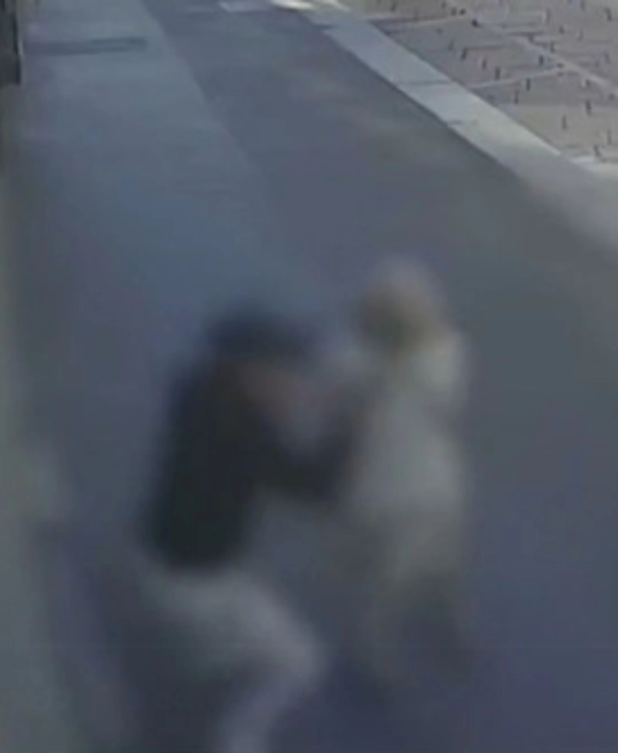 Milano, algerino "rapina con violenza" una 87enne in strada