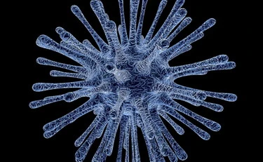 Sono virus ma molto più grandi del previsto: il mistero che ha spiazzato gli scienziati