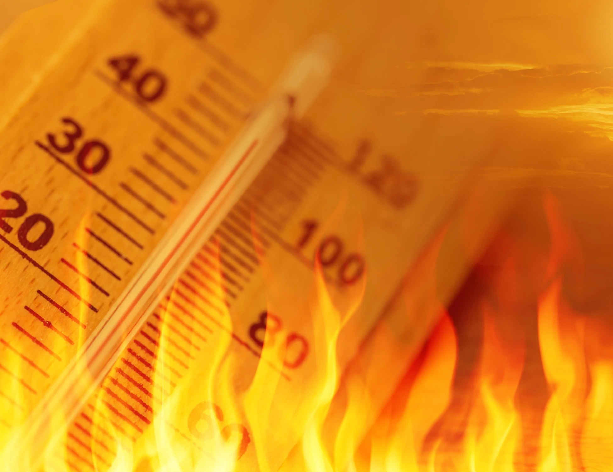 Meteo, "morti di caldo": quelle cifre sparate