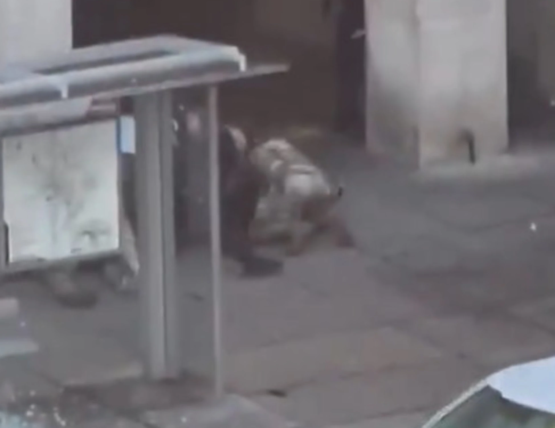 Washington, a sparare alla Guardia nazionale è stato un afghano. Furia Trump, "colpa di Biden"