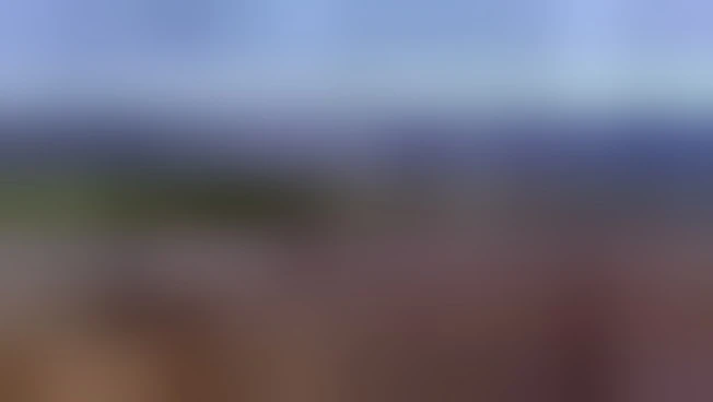 Dreamland, quando la natura si integra nella città