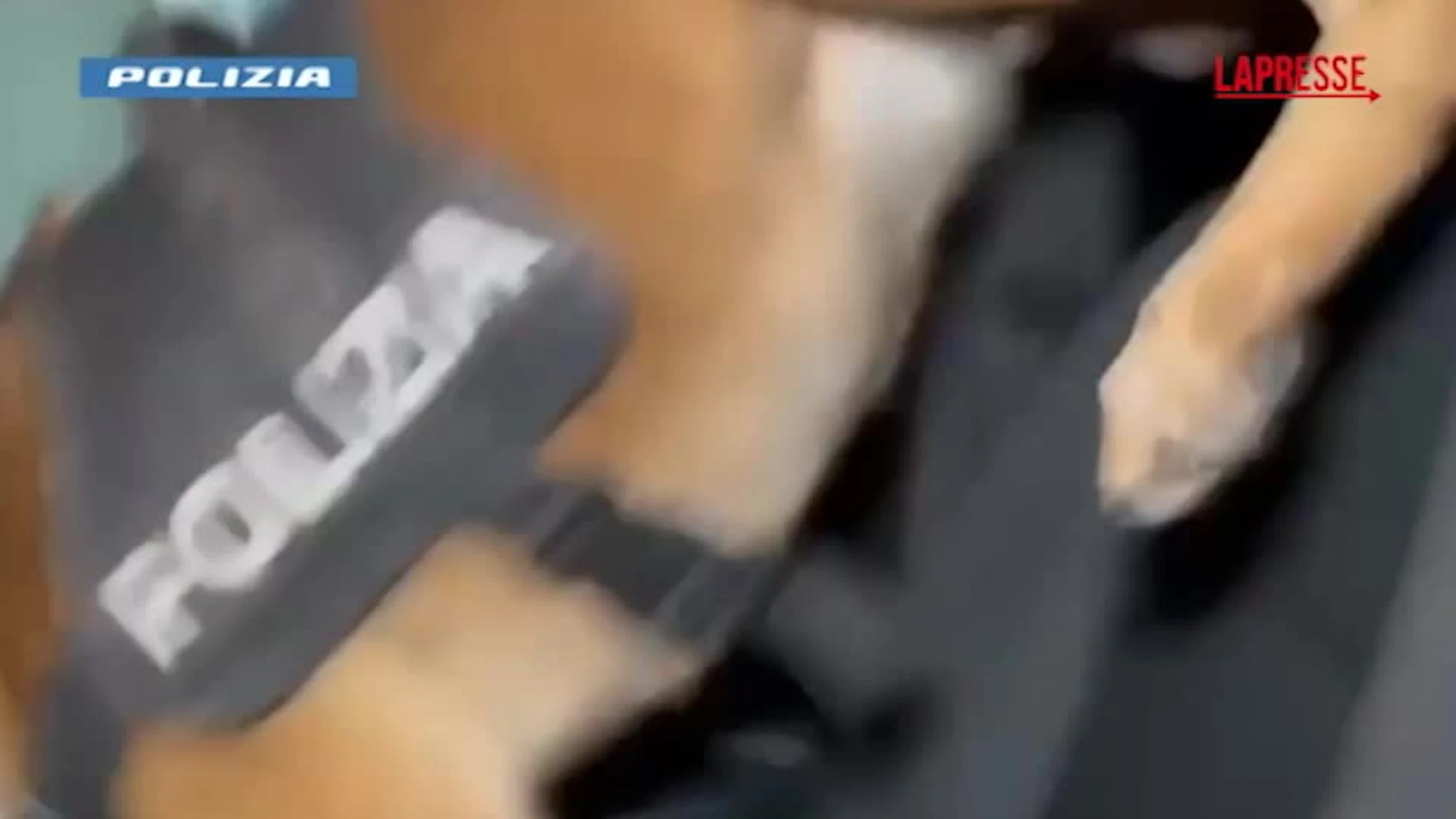 Trapani, traffico di stupefacenti: 27 arresti nel maxi blitz della polizia