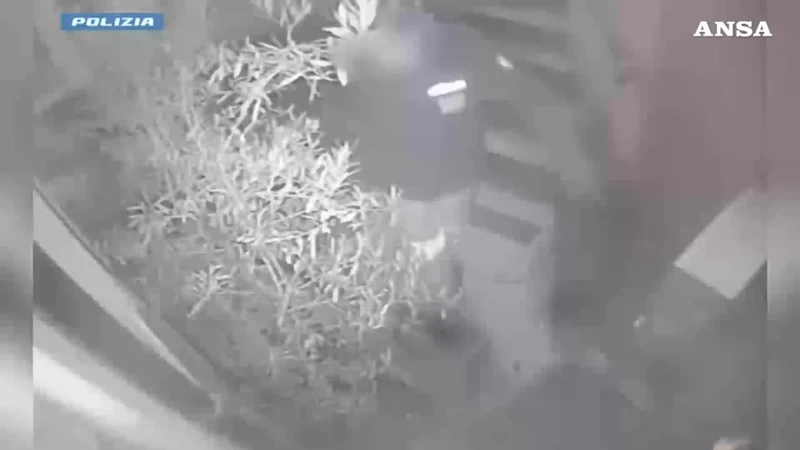 https://media.liberoquotidiano.it/llTYOC_WVcX43T3mP9_dhxFSwtqBTNjYADZjGjOqEv0/width:800/quality:90/aW1hZ2VzLzIwMjUvMTAvMTUvMTAyODQ4MjExLTNhNzgwNjQ3LTJiZjAtNGQ4Zi1hN2NmLTgxMTI2ZWJiMDliMi5qcGc.webp