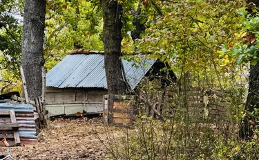 Famiglia nel bosco, l'ex avvocato: "La lettera non è farina del loro sacco"