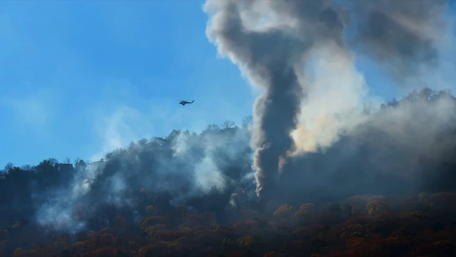 Report Avincis, Europa in difficoltà contro gli incendi