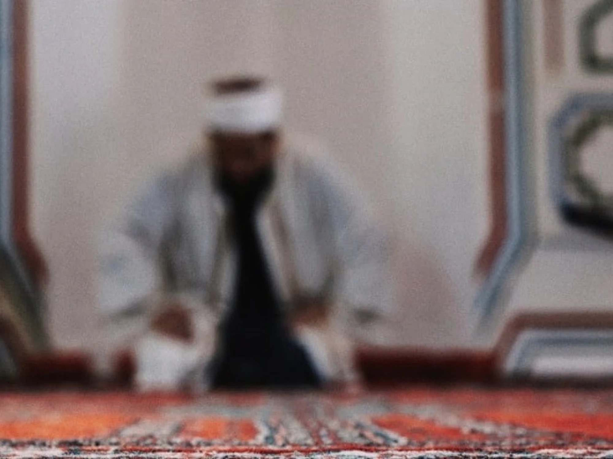 Insulti a Meloni, FdI porta il caso dell'imam di Venezia in Parlamento