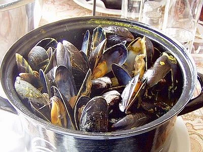 In arrivo il 'carbon credit' dai molluschi, al via la prima intesa mondiale
