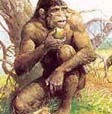 Il primo ominide