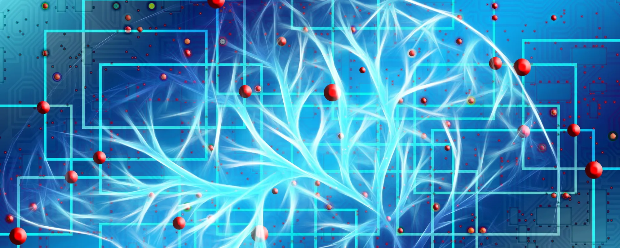 Cervello, le cellule del sangue che compromettono la memoria