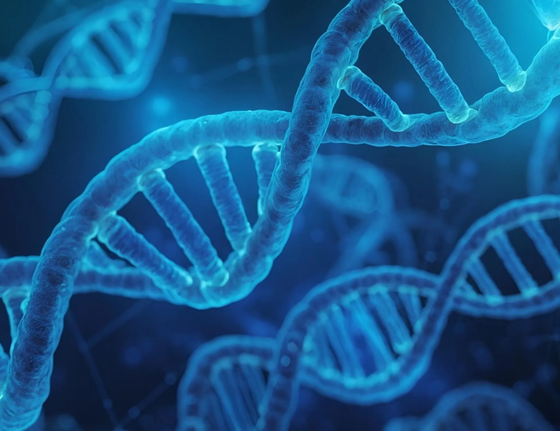 Longevità, il ruolo della rapamicina: il segreto per una lunga vita?