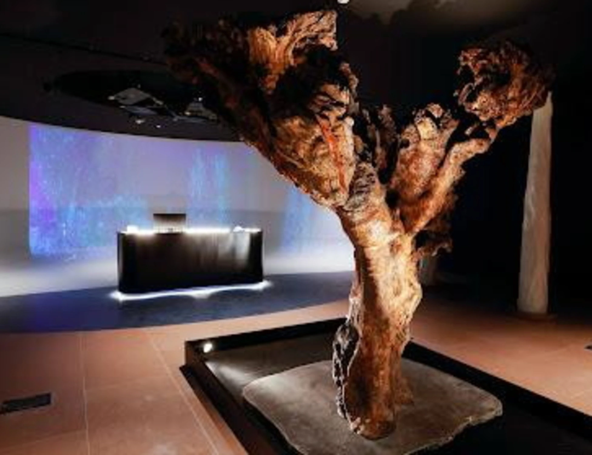 Rimond realizza il progetto del nuovo Fao MuNe a Roma