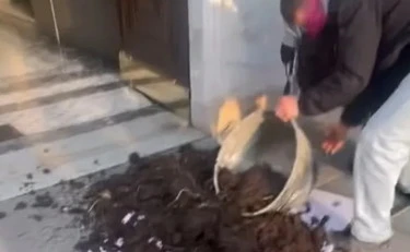 Femministe contro Giulia Bongiorno, un carico di letame sui diritti delle donne