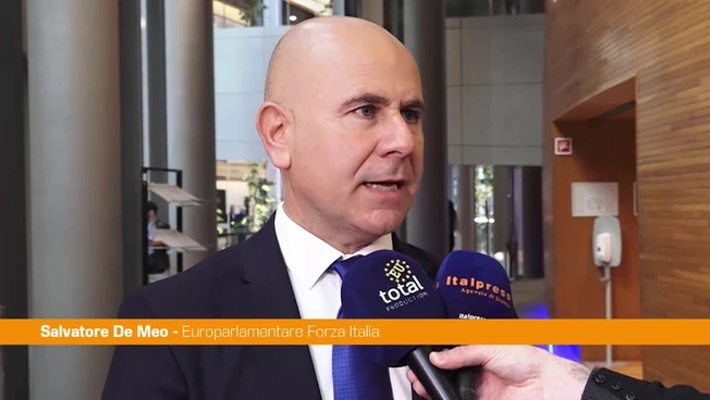 Ue, De Meo "Servono strategie comuni sull'immigrazione"