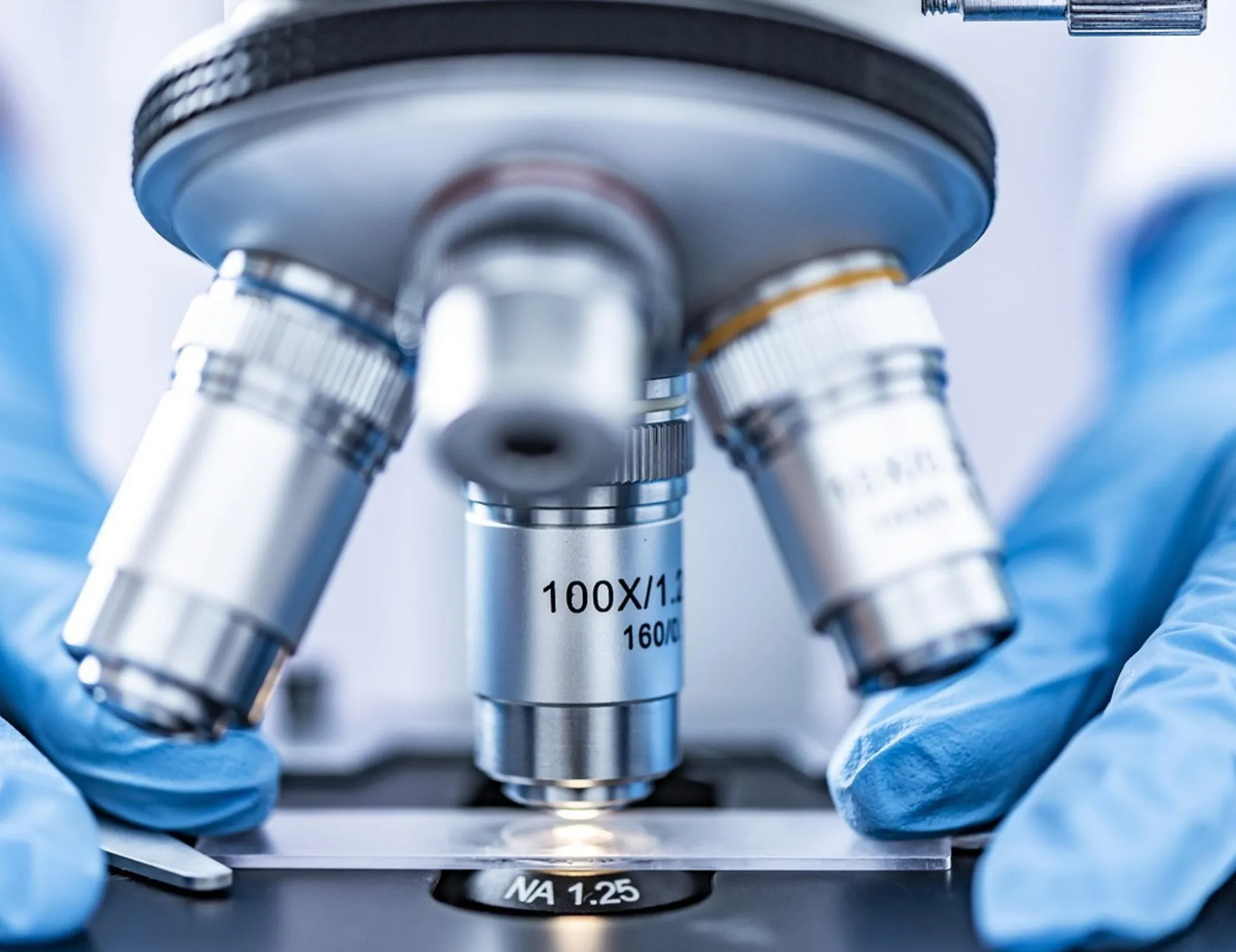 Scoperta la "scatola nera" delle cellule: cosa rivela