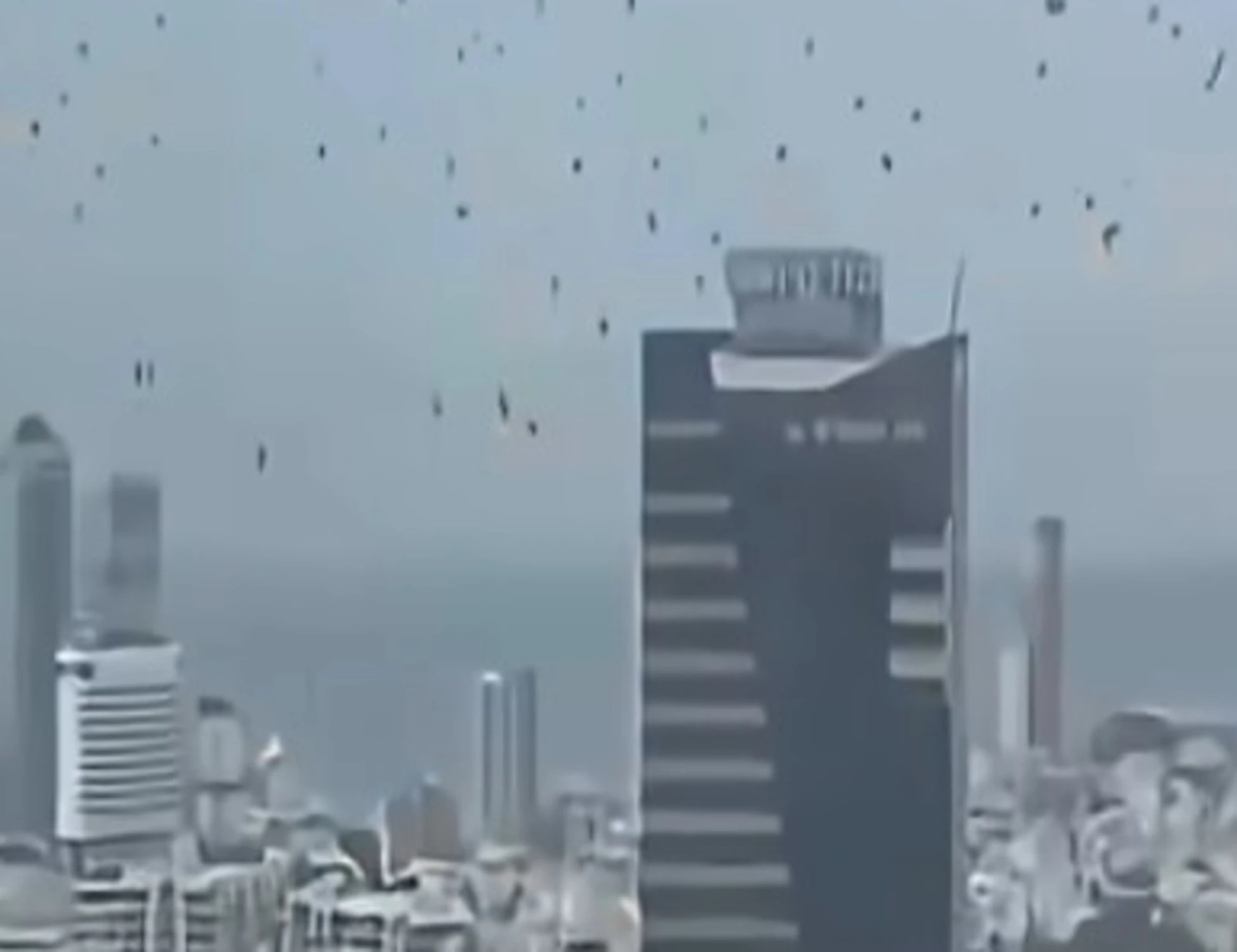Tel Aviv invasa da corvi neri, complottisti scatenati: il video