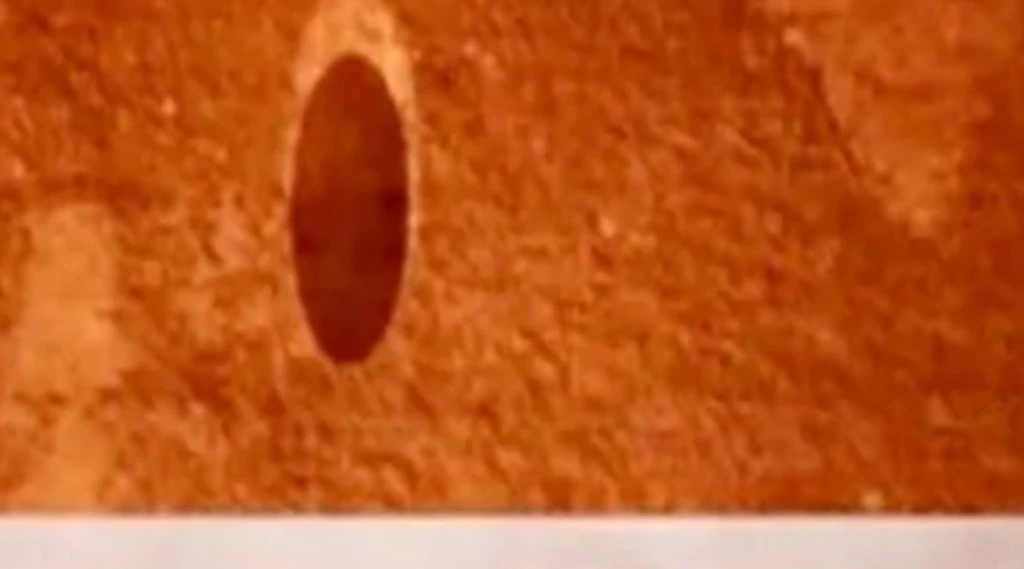 Jannik Sinner, il gesto che avrebbe potuto cambiare la partita: tifosi impazziti