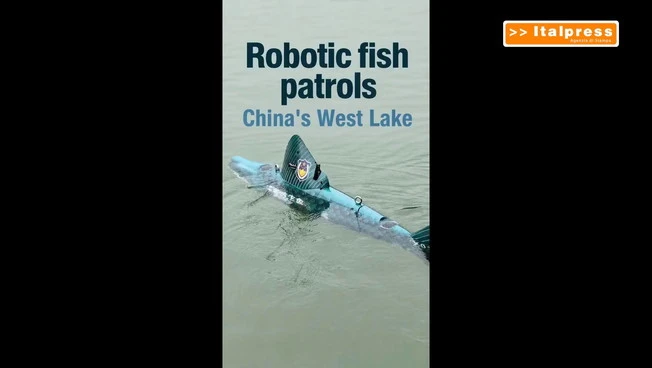 Cina, un pesce robot "sorveglia" il Lago Occidentale di Hangzhou