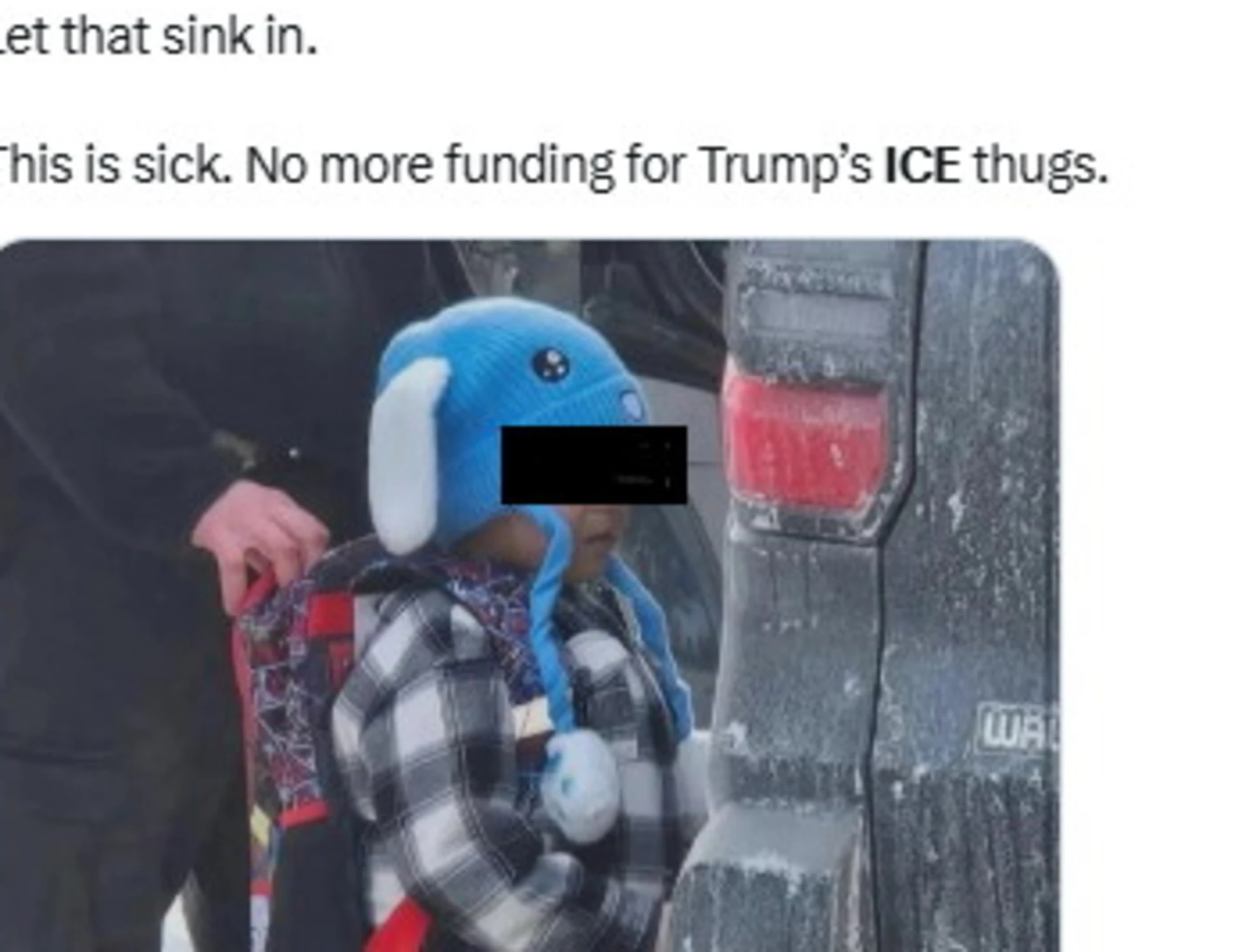 Minnesota, bimbo di 5 anni arrestato dall'Ice? L'ultima bufala contro Trump