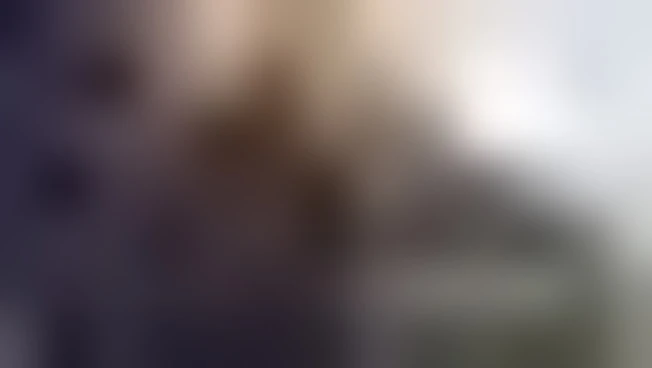 https://media.liberoquotidiano.it/mESjaJXtznThKdJW7oaTEifI1_hIQ5HHSJwvZc4WzhE/width:800/quality:90/aW1hZ2VzLzIwMjYvMDkvMTQvMDg0NDM3NjYyLWNiZDViMjg5LWQ3ZGUtNDkxMi04YWQ5LWFjMWI1YWMwMmNkZS5qcGc.webp