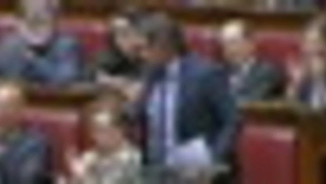 L'intervento di Silvestri (M5S) su Meloni e le "ginocchiere"