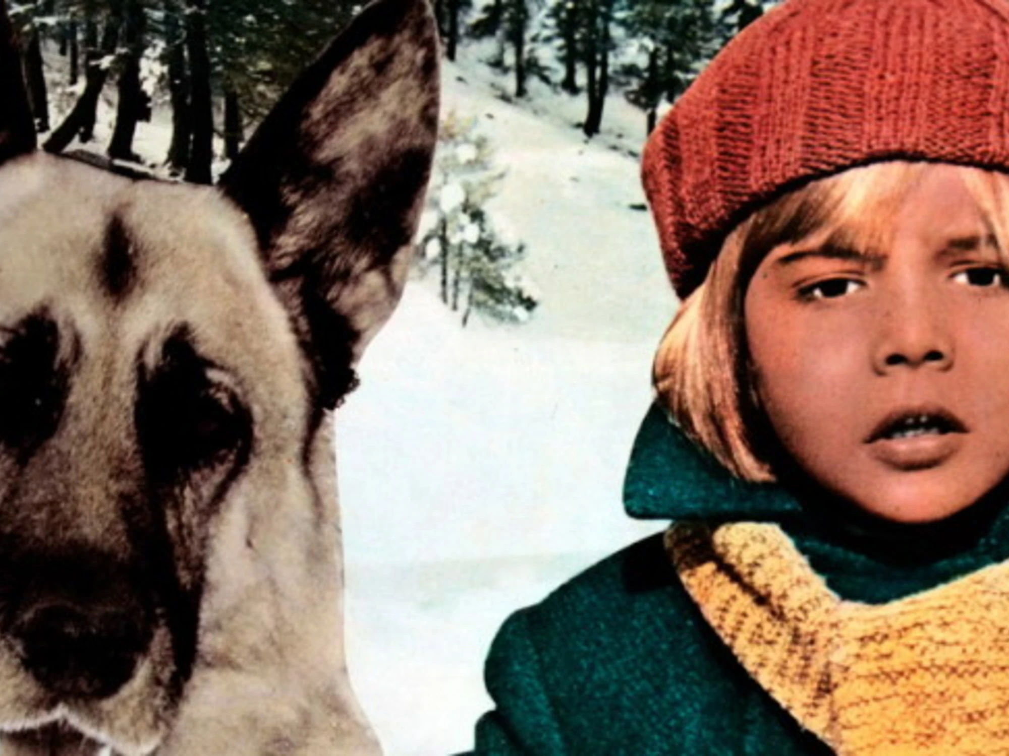 Mediaset fa centro tra lupi e montagne