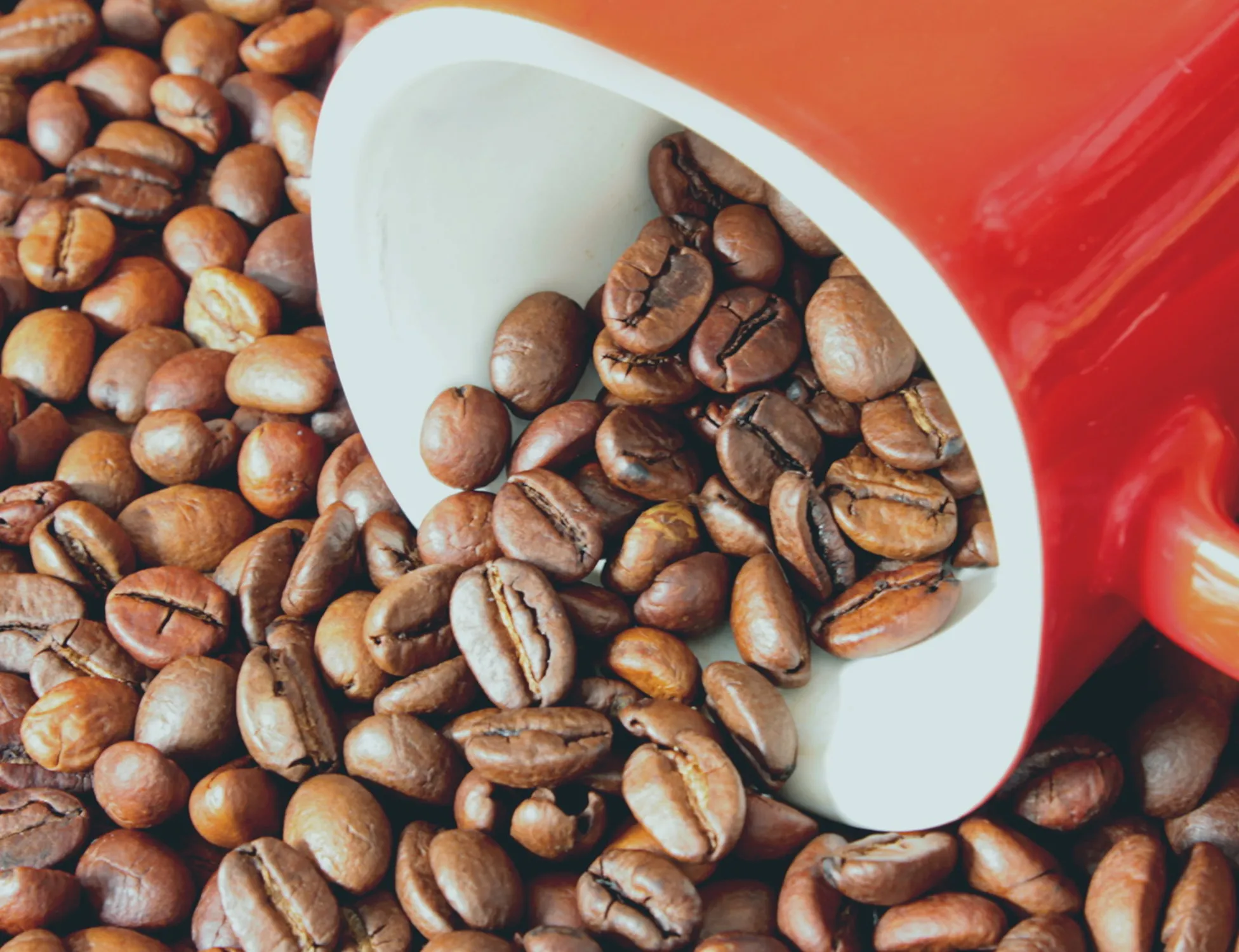 Leggi l'articolo: Demenza, gli effetti benefici del caffè: quante tazzine bere