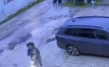 Pisa, 3 rottweiler sbranano una 11enne