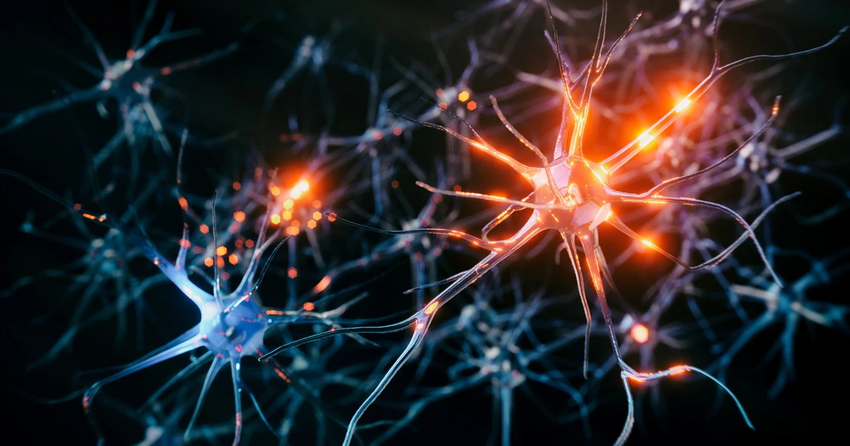 Parkinson, i fattori di rischio per lo sviluppo della demenza nella malattia