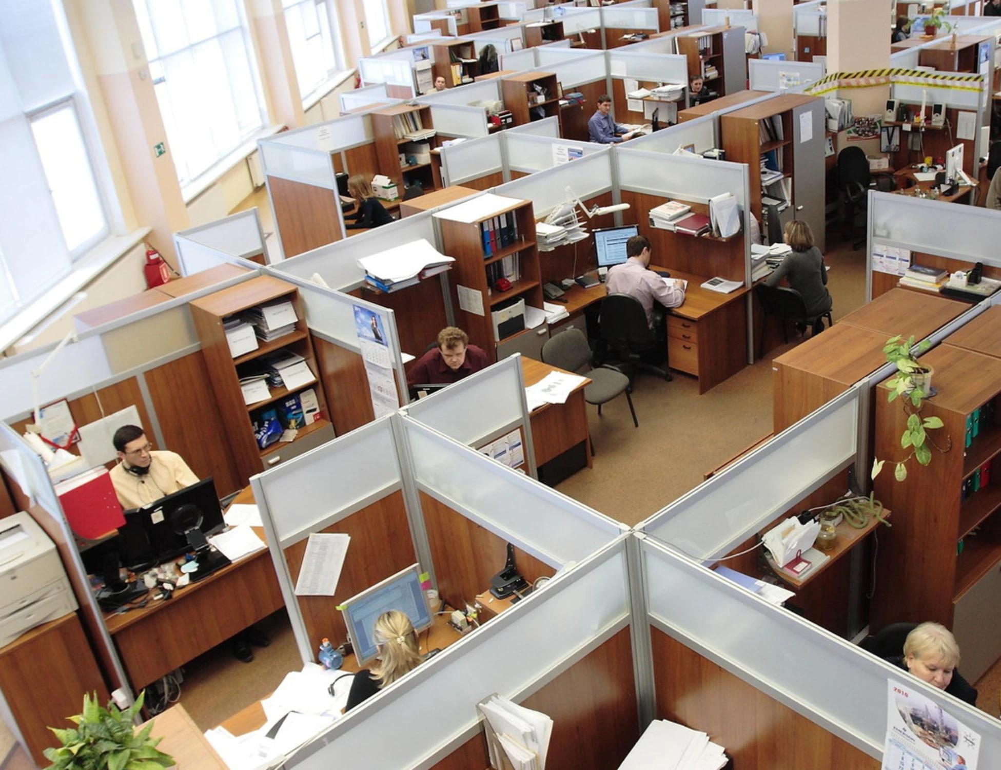 Stipendio basso? Quando si può denunciare il datore di lavoro