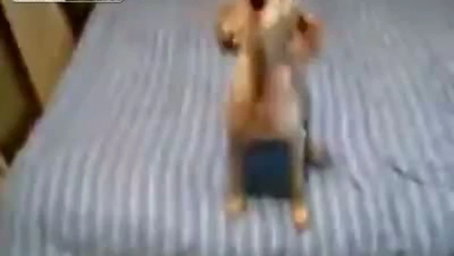 400x302