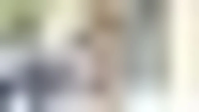 https://media.liberoquotidiano.it/mUrZEc_fMDhP0X_iOejUr9zatCGEdtrssqyYvgt9U6c/width:800/quality:90/aW1hZ2VzLzIwMjUvMDkvMjMvMTUyODU5ODExLTcxZWY3NTA4LTZmMzctNDQ1YS05ODczLTU1ZTExODhmYzhhMS5qcGc.webp