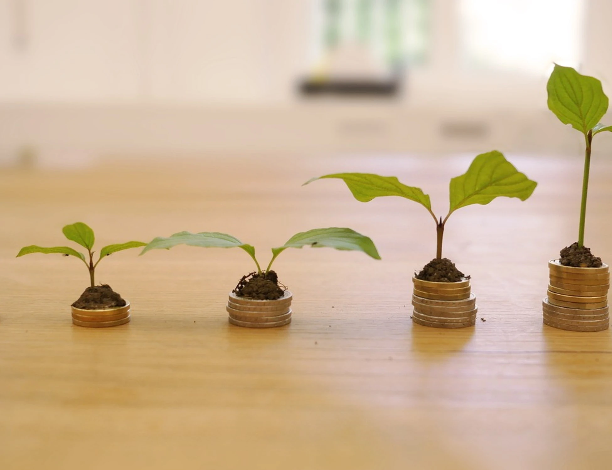 Finanza verde, non ci crede più nessuno: crollano gli investimenti nei fondi sostenibili