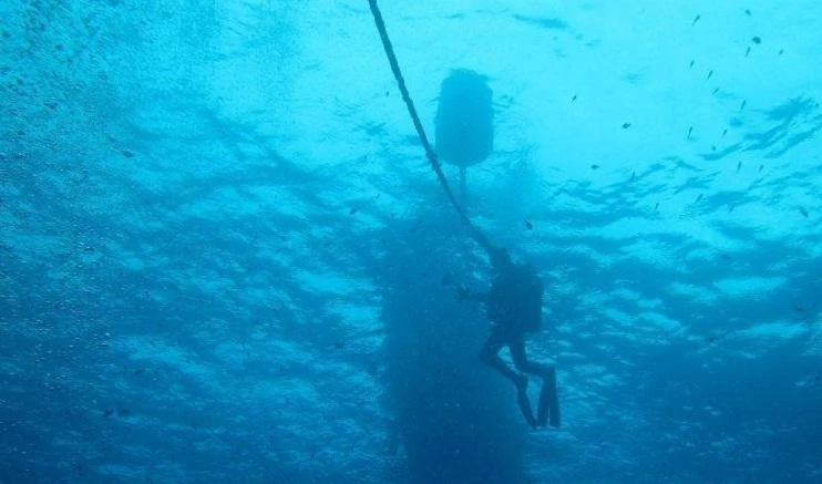 Ustica, due 14enni rubano l'auto e scappano: giù dal porto, muoiono annegati