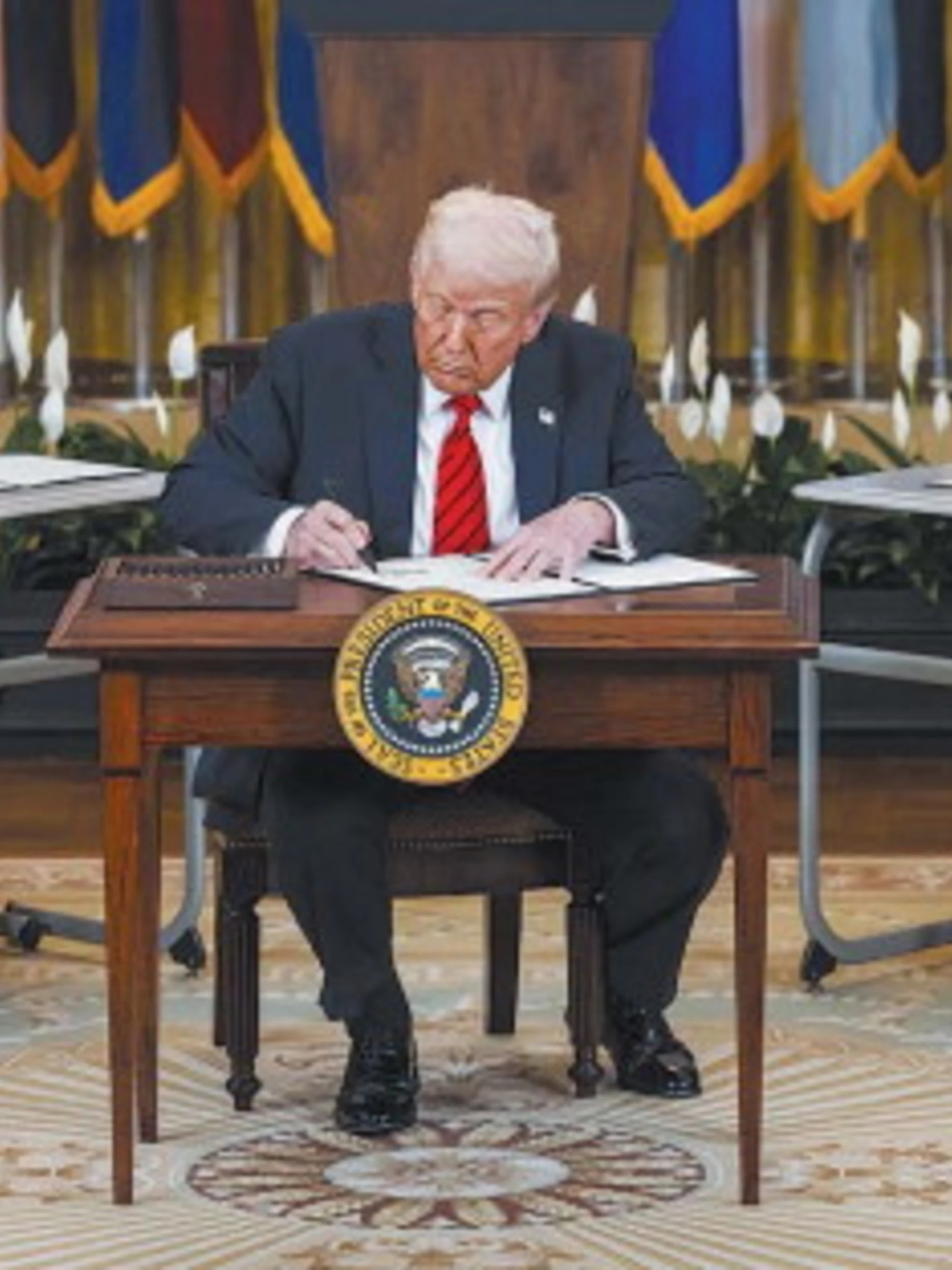 Donald Trump sconvolge l'istruzione scolastica: ecco cosa smantella (e cosa cambia)