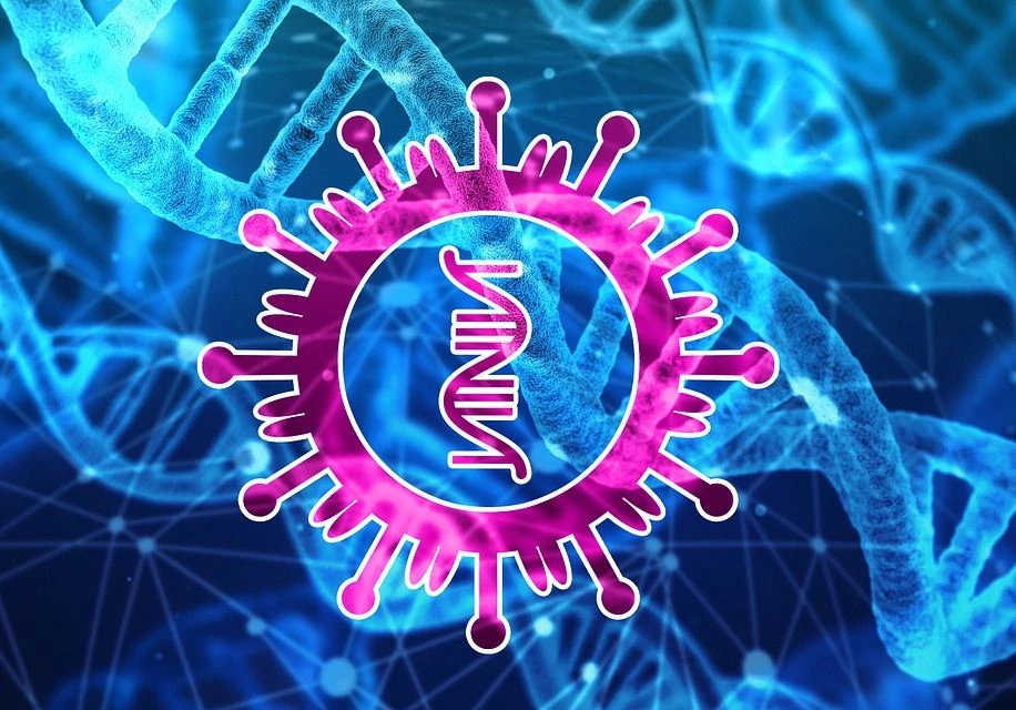 Coronavirus, due casi anche nel Padovano. Zaia: "Misure rigorose"