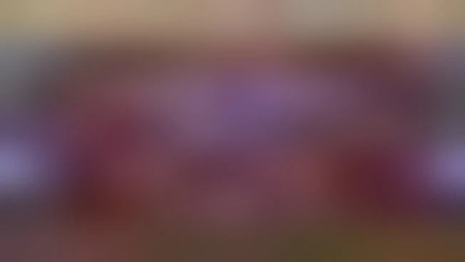 https://media.liberoquotidiano.it/mlr4XbSa0cMG638rx75y2Yx8nTVrrSTHKq8GbZpoDOM/width:800/quality:90/aW1hZ2VzLzIwMjUvMDkvMjQvMTUxMjQ4NDIzLTAxNDU0OWNmLTgwZjAtNDY1Yi04NjFjLTFiNDU4M2VkNmQ5My5qcGc.webp