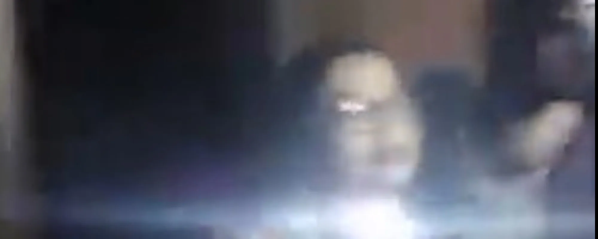 Attrice molestata dai bengalesi: Venezia, orrore in diretta video