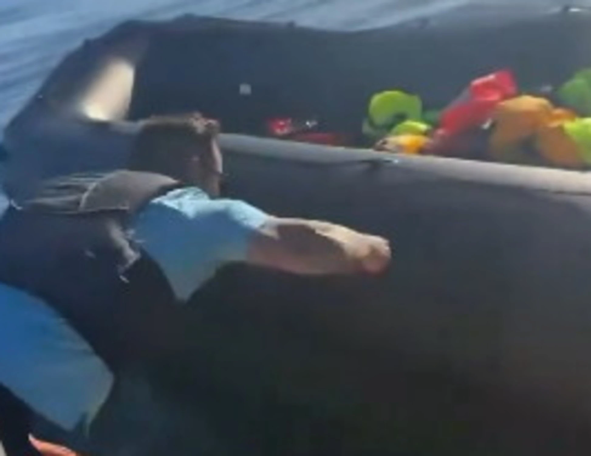 Raptus dell'attivista: prende un coltello e squarcia il gommone dei migranti