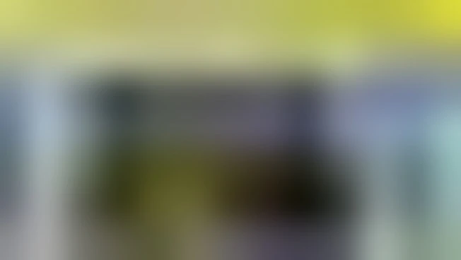 https://media.liberoquotidiano.it/mx8eZuxyT3pHDYLl1d-xfgqGBGT3z0PXb2WYAecAsx0/width:800/quality:90/aW1hZ2VzLzIwMjYvMDUvMDQvMTMxNzM2ODA0LWQxNTZmMmMzLWRiNzUtNDRmMy1hYjg2LTFjZjc1Y2Y2OWE2NS5qcGc.webp