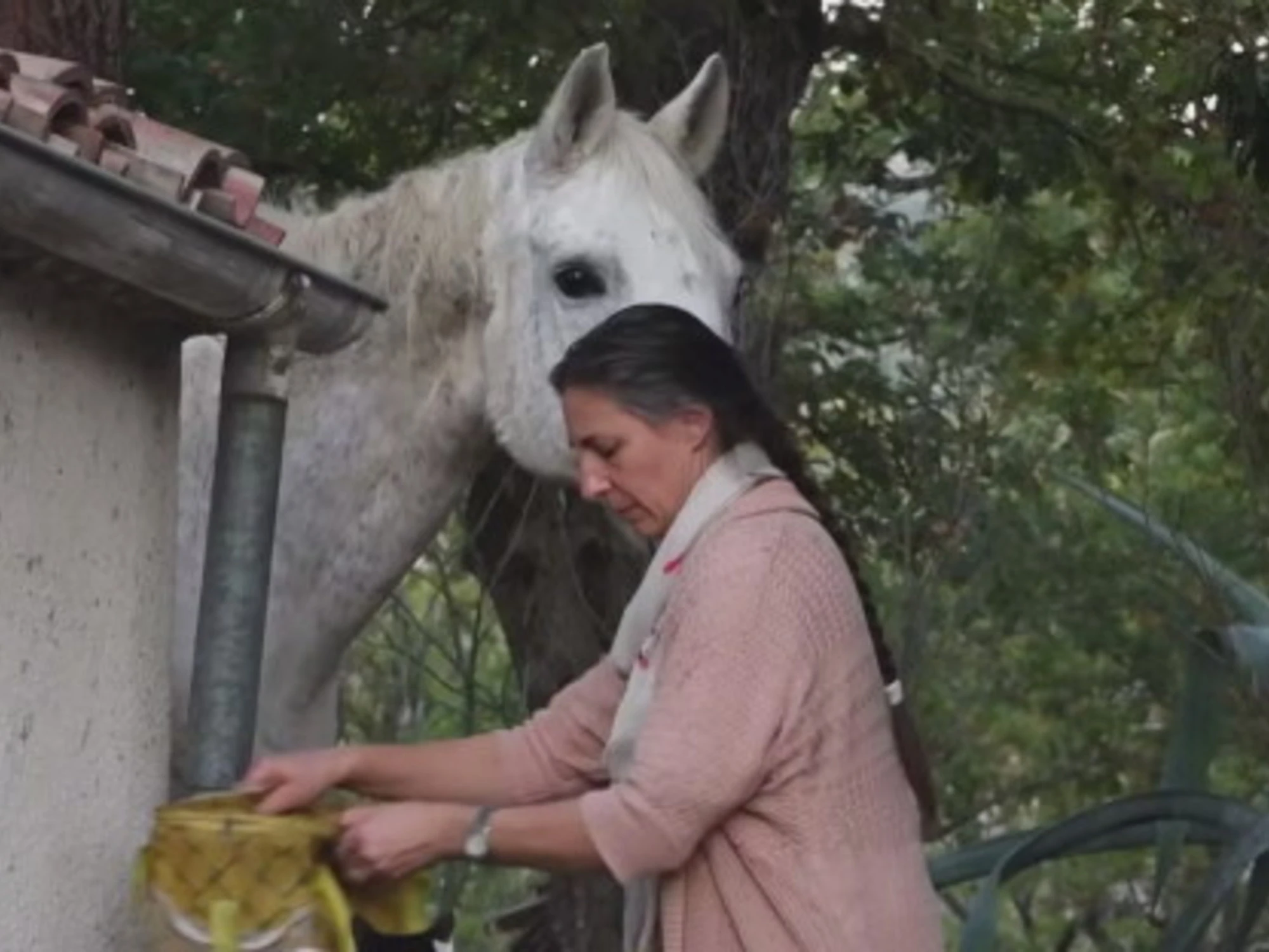 Famiglia nel bosco, mamma Catherine "sta impazzendo": come è ridotta