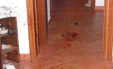 Garlasco, "una donna con una borsa": chi spunta sulla scena del delitto