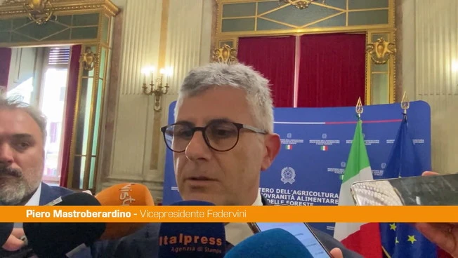 Mastroberardino "Rivedere il tema della sensibilità della cultura del vino"