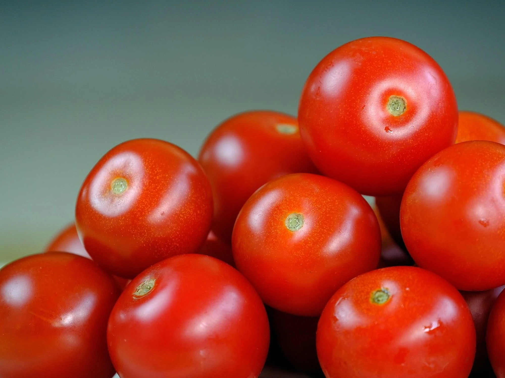 Prostata, gli effetti del licopene del pomodoro