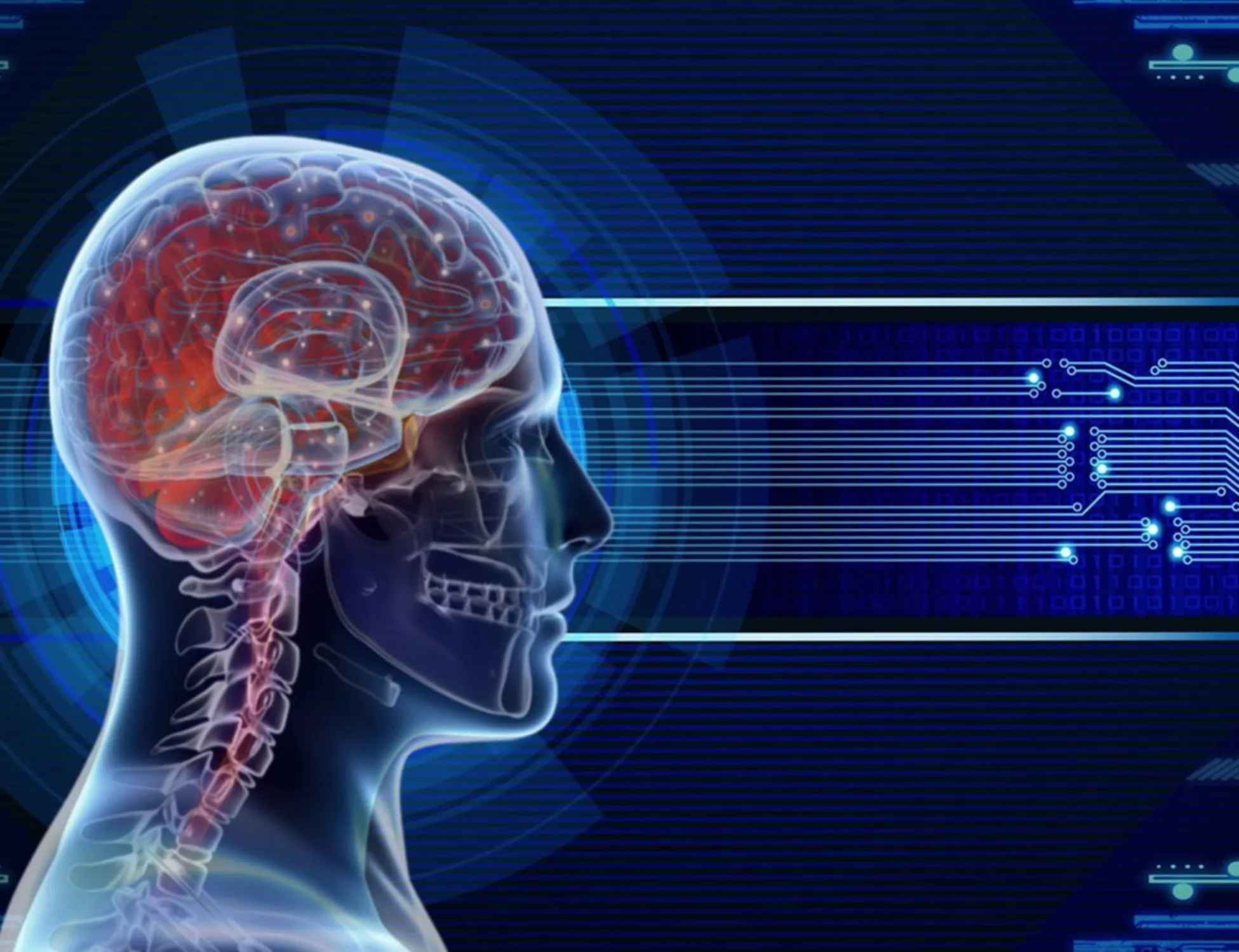Leggi l'articolo: Paralisi facciale, cosa c'è dietro: il segreto del cervello