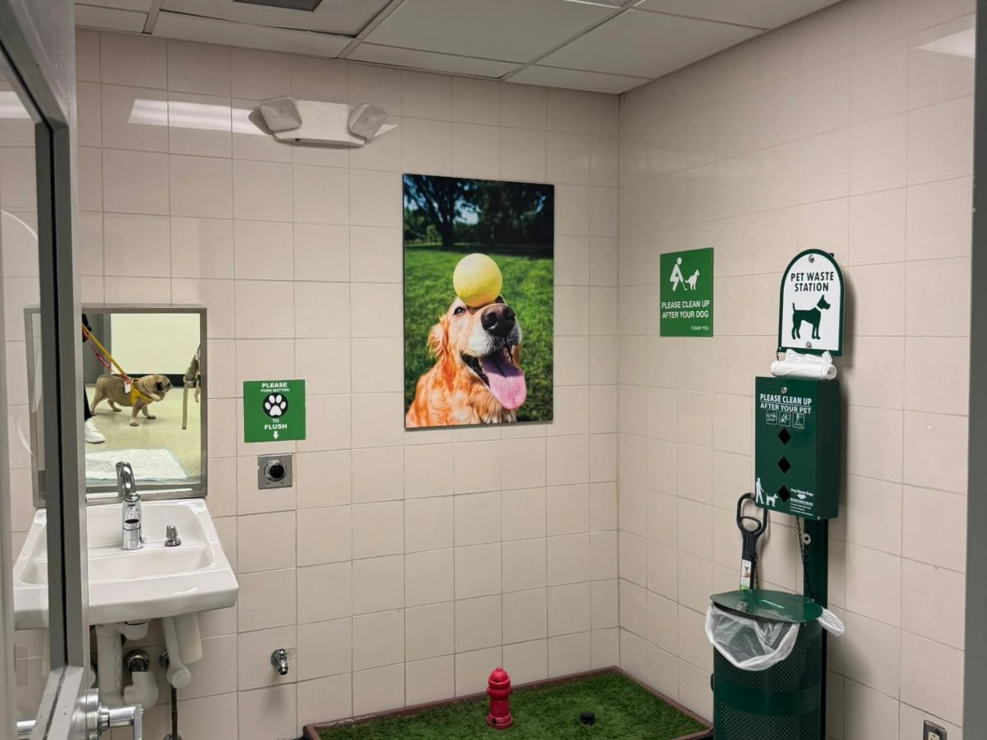 Trasporti: Biancofiore-Civici d’Italia-Noi moderati-UDC-Maie: animali in cabina, bene Salvini, Ita e Enac. Misura già presente su treni